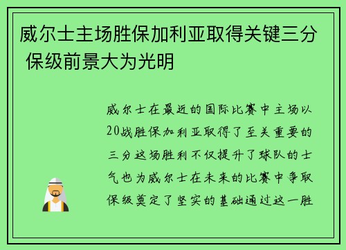 威尔士主场胜保加利亚取得关键三分 保级前景大为光明