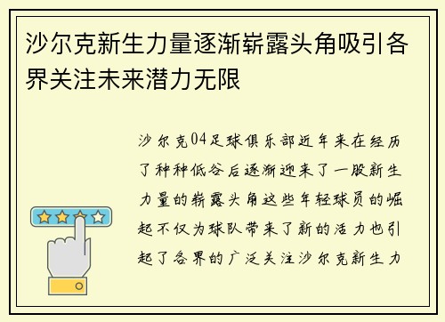 沙尔克新生力量逐渐崭露头角吸引各界关注未来潜力无限