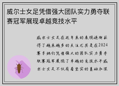 威尔士女足凭借强大团队实力勇夺联赛冠军展现卓越竞技水平