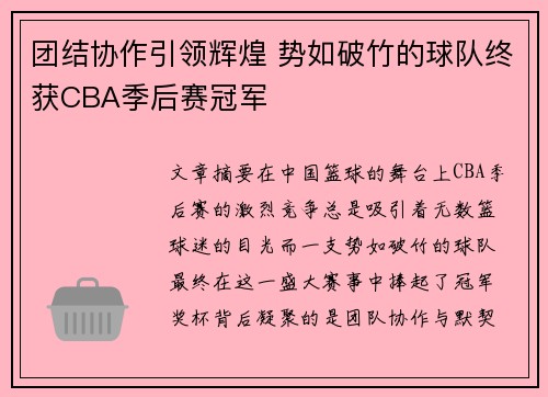 团结协作引领辉煌 势如破竹的球队终获CBA季后赛冠军