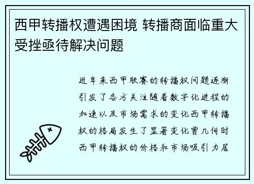 西甲转播权遭遇困境 转播商面临重大受挫亟待解决问题