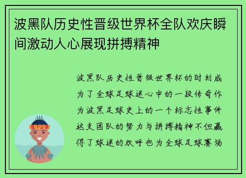 波黑队历史性晋级世界杯全队欢庆瞬间激动人心展现拼搏精神