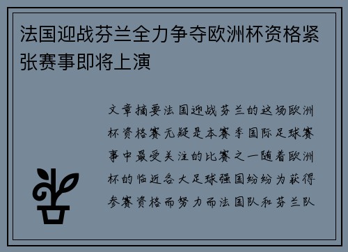 法国迎战芬兰全力争夺欧洲杯资格紧张赛事即将上演