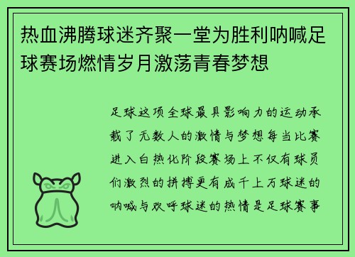 热血沸腾球迷齐聚一堂为胜利呐喊足球赛场燃情岁月激荡青春梦想