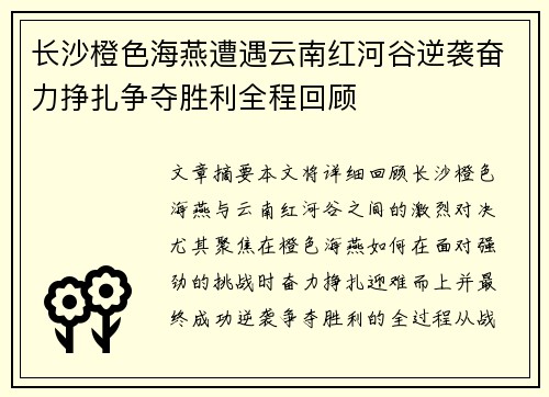 长沙橙色海燕遭遇云南红河谷逆袭奋力挣扎争夺胜利全程回顾